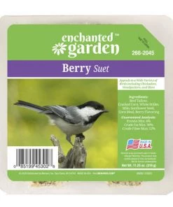 Enchanted Garden™ Berry Bird Suet Cake - 11.25 Oz