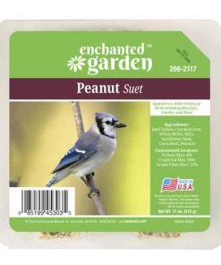 Enchanted Garden™ Peanut Bird Suet Cake - 11 Oz
