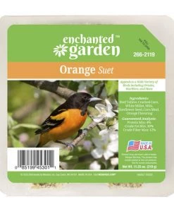 Enchanted Garden™ Orange Bird Suet Cake - 11.25 Oz