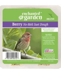 Enchanted Garden™ Berry No-Melt Bird Suet Dough - 11.25 Oz