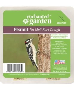 Enchanted Garden™ Peanut No-Melt Bird Suet Dough - 11 Oz