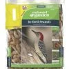 Enchanted Garden™ In-Shell Peanuts Wild Bird Food - 4 Lb -Enchanted Garden Sale 266 3207 In Shell Peanuts Front