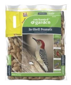 Enchanted Garden™ In-Shell Peanuts Wild Bird Food - 4 Lb