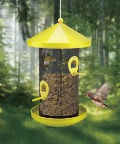 Enchanted Garden Sale shop 18 Enchanted Garden Sale shop -Enchanted Garden Sale 266 4352 1