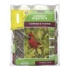 Enchanted Garden™ Cardinal & Friends Wild Bird Food Seed - 6.5 Lb -Enchanted Garden Sale 2661343 Cardinal Front
