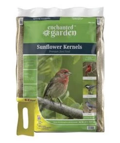 Enchanted Garden Sale shop 24 Enchanted Garden Sale shop -Enchanted Garden Sale 2661348 Sunflower Kernels Back