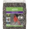Enchanted Garden™ Colorful Blend Wild Bird Food Seed - 8 Lb -Enchanted Garden Sale 2662091 Color Blend Birdseed Front