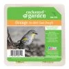 Enchanted Garden™ Orange No-Melt Bird Suet Dough - 11.25 Oz -Enchanted Garden Sale 2662131 P SF