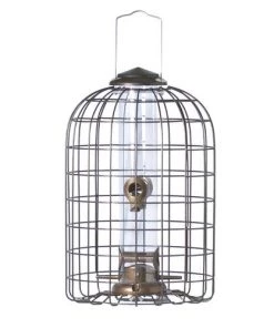 Enchanted Garden™ Squirrel-Resistant Bird Feeder