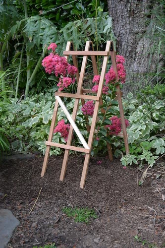 Enchanted Garden™ 10"W X 29"H Cedar Folding Trellis 4 Enchanted Garden™ 10"W X 29"H Cedar Folding Trellis - Image 2
