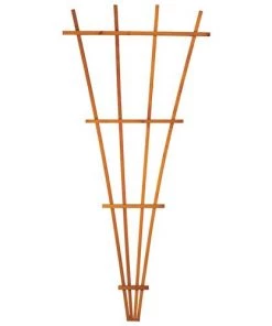 Enchanted Garden™ 32"W X 72"H Cedar Fan Trellis