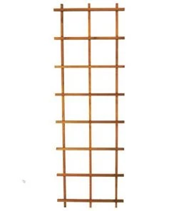 Enchanted Garden™ 24"W X 72"H Cedar Ladder Trellis
