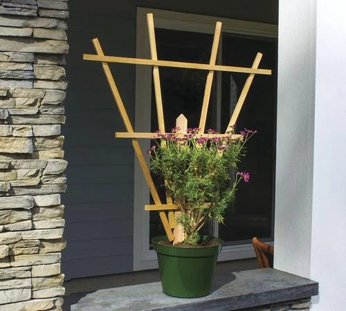 Enchanted Garden™ 29.5"W X 37.5"H Cedar Picket Fan Trellis 4 Enchanted Garden™ 29.5"W X 37.5"H Cedar Picket Fan Trellis - Image 2