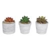 Enchanted Garden™ 4" Artificial Succulent With Cement Pot - Assorted Styles -Enchanted Garden Sale 2774605 KGD212ABB 2400px