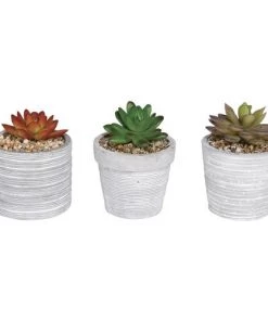Enchanted Garden™ 4" Artificial Succulent With Cement Pot - Assorted Styles
