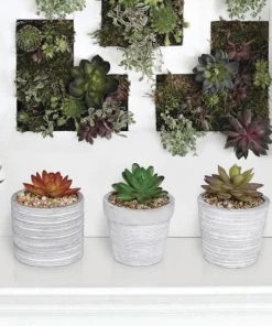 Enchanted Garden™ 4" Artificial Succulent With Cement Pot - Assorted Styles -Enchanted Garden Sale 2774605 KGD212ABB LS 1800px
