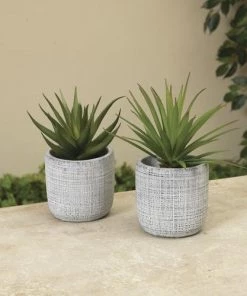 Enchanted Garden™ 6" Artificial Succulent With Cement Pot - Assorted Styles