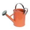 Enchanted Garden™ 1 Gallon Metal Watering Can In Coral 1 Enchanted Garden™ 1 Gallon Metal Watering Can In Coral -Enchanted Garden Sale 2775036
