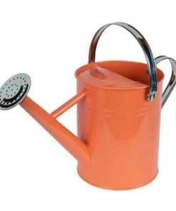 Enchanted Garden™ 1 Gallon Metal Watering Can In Coral