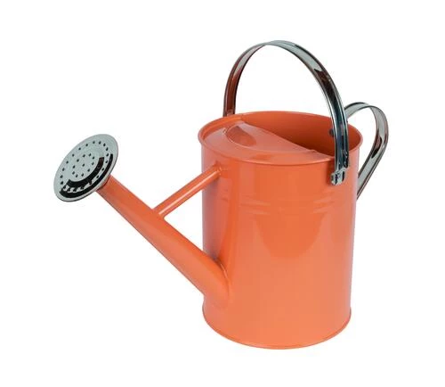 Enchanted Garden™ 1 Gallon Metal Watering Can In Coral 3 Enchanted Garden™ 1 Gallon Metal Watering Can In Coral