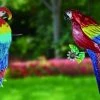 Enchanted Garden™ 17.3" Parrot Outdoor Wall Art - Assorted Styles -Enchanted Garden Sale 2775051 P SC V2