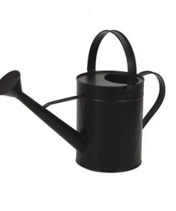 Enchanted Garden⢠Steel Watering Can - Assorted Colors
