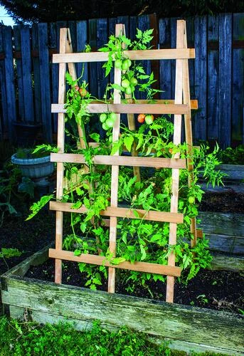 Enchanted Garden™ 48" Cedar Heavy-Duty Folding Trellis 4 Enchanted Garden™ 48" Cedar Heavy-Duty Folding Trellis - Image 2