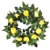 Enchanted Garden™ 22" Meyer Lemon Wreath Outdoor Wall Art