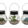 Enchanted Garden™ Artificial Succulent Solar LED Glass Jar - Assorted Styles -Enchanted Garden Sale 2775442