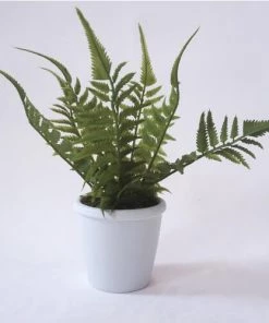 Enchanted Garden™ 10" Artificial Green Plant With Pot - Assorted Styles -Enchanted Garden Sale 2775474 2