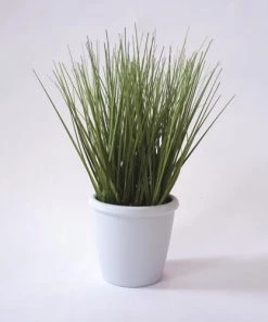Enchanted Garden™ 10" Artificial Green Plant With Pot - Assorted Styles -Enchanted Garden Sale 2775474 3