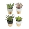 Enchanted Garden™ 6" Artificial Potted Succulent -Enchanted Garden Sale 2775475