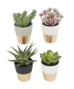 Enchanted Garden™ 6" Artificial Potted Succulent