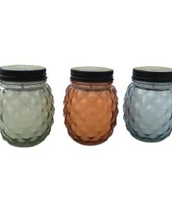 Enchanted Garden™ 9 Oz. Glass Pineapple Jar Citronella Candle - Assorted Colors