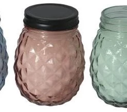 Enchanted Garden™ 9 Oz. Glass Pineapple Jar Citronella Candle - Assorted Colors -Enchanted Garden Sale 2775550 3pack