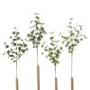 Enchanted Garden™ 34" Artificial Eucalyptus Leaf Spray - Assorted Styles -Enchanted Garden Sale 2775669