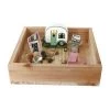 Enchanted Garden™ Mini Fairy Camper Garden Kit
