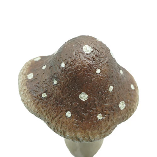 Enchanted Garden™ 10" Resin Mushroom Statue 6 Enchanted Garden™ 10" Resin Mushroom Statue - Image 4