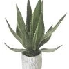 Enchanted Garden™ 12.5" Artificial Greenery Plant With White Pot -Enchanted Garden Sale 2775780 21YH1816 2200px