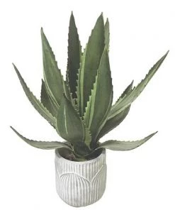 Enchanted Garden™ 12.5" Artificial Greenery Plant With White Pot