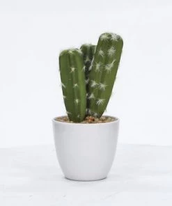 Enchanted Garden™ 8.5" Artificial Potted Cactus