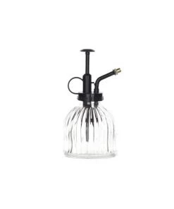 Enchanted Garden™ Clear Glass Sprayer